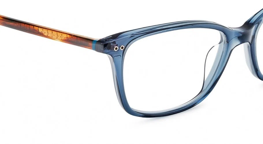 Etnia Barcelona Vintage ROSES Eyeglasses - view 16